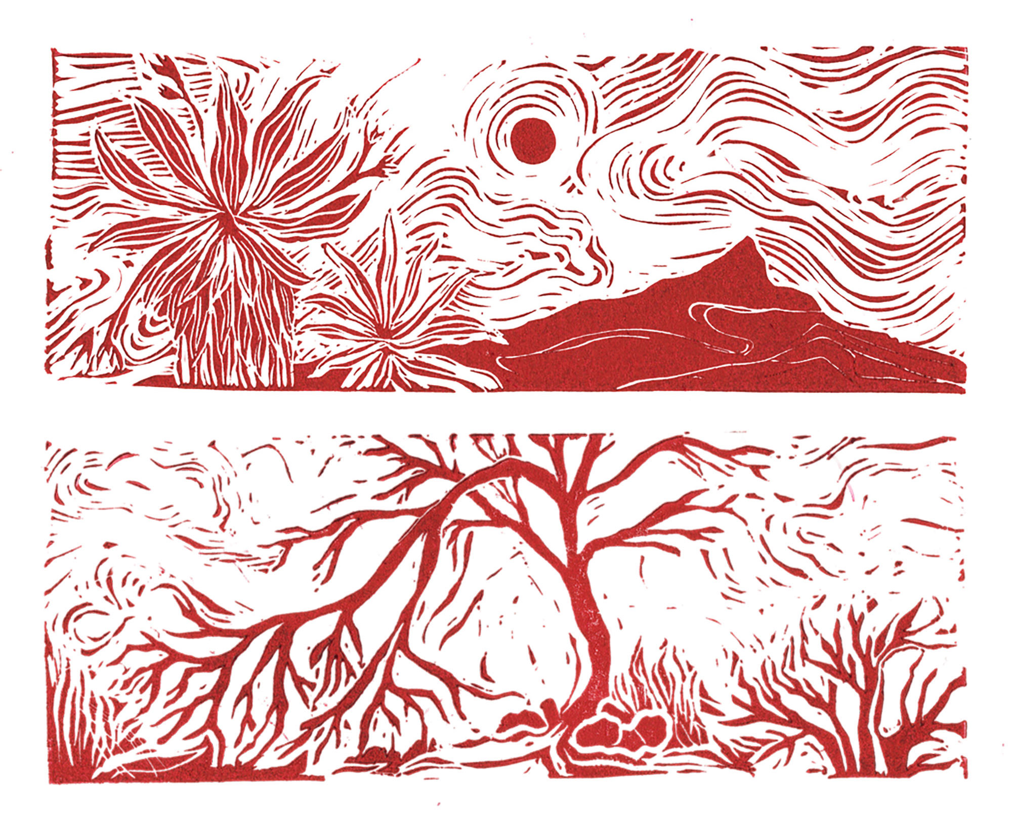 Dayana Corzo Joya, ‘Páramo’ from the Paramofuturismoscollection